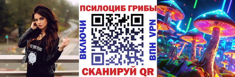 Псилоцибиновые грибы мицелий  что такое   Щёлкино 